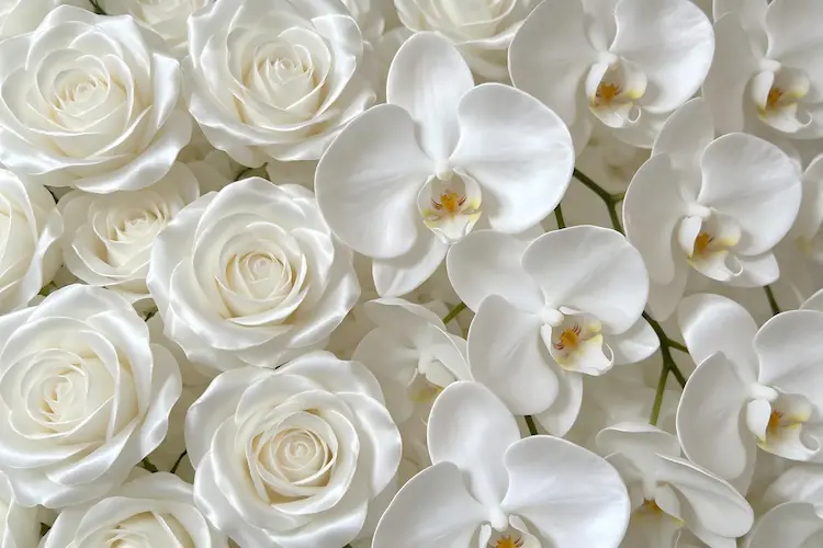 silk flower texture close up sheen realistic petals