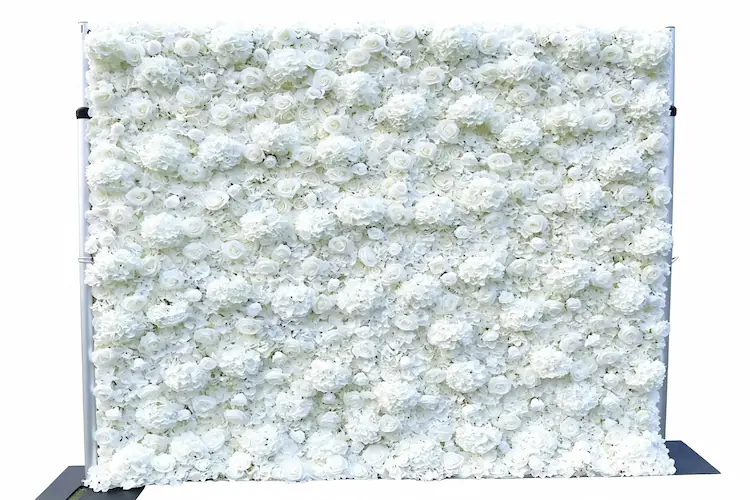 white floral backdrop front view pure white flowers