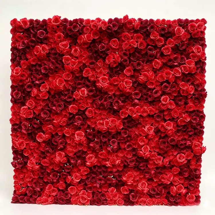 red rose flower wall front view full display