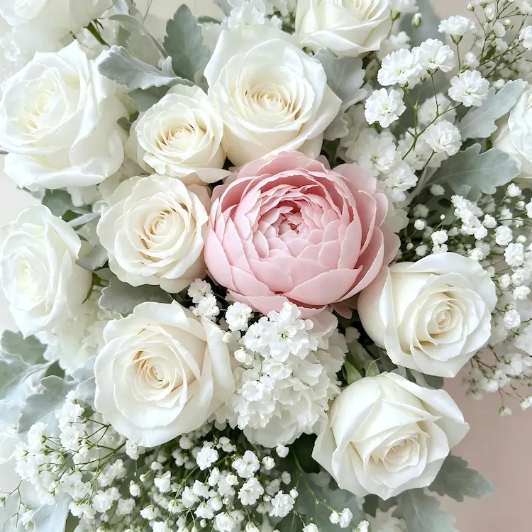 dusty rose rose and gypsophila flower close up detail