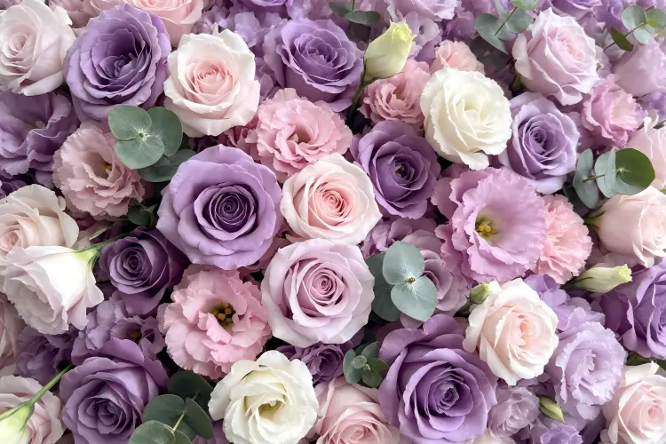 第57篇-图3-花密度特写_v2.webp